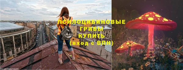 экстази Богданович