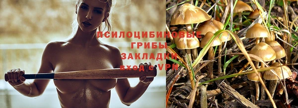 экстази Богданович
