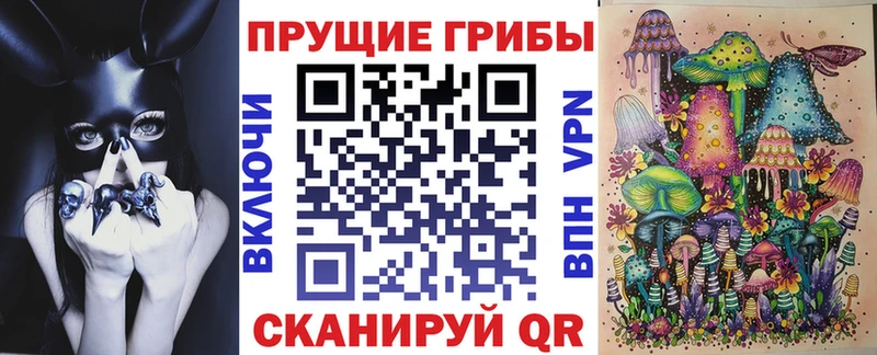 Псилоцибиновые грибы Cubensis  сколько стоит  Старица 